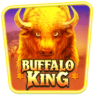 buffalo king